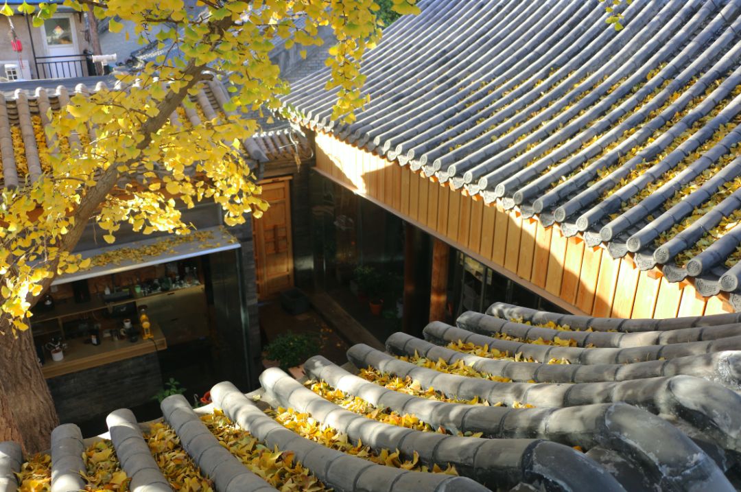 4个女友21万改90㎡四合院,工作室 厨房 卧室 - 一条生活馆