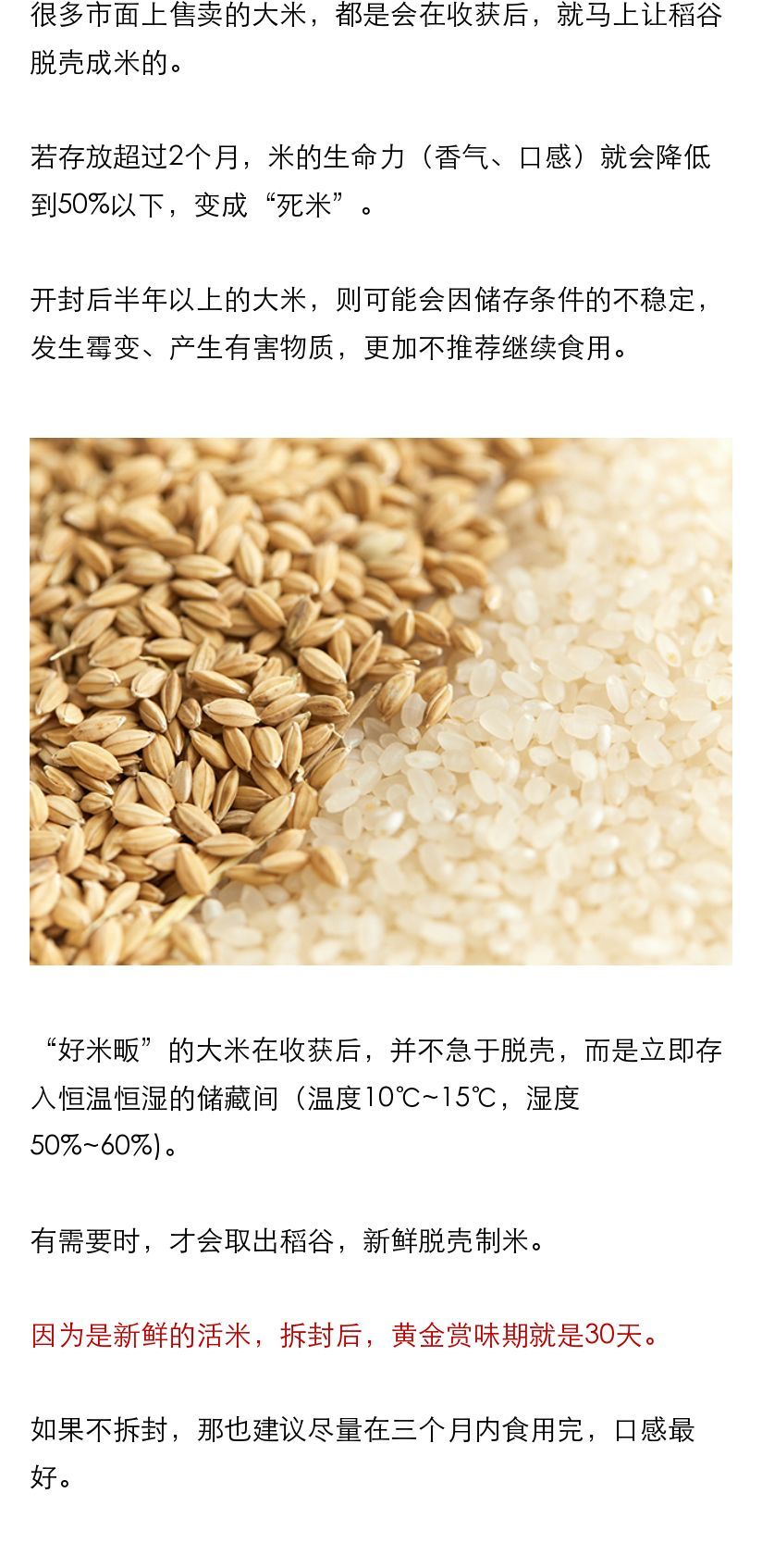 营养胚芽米500g 营养胚芽米500g