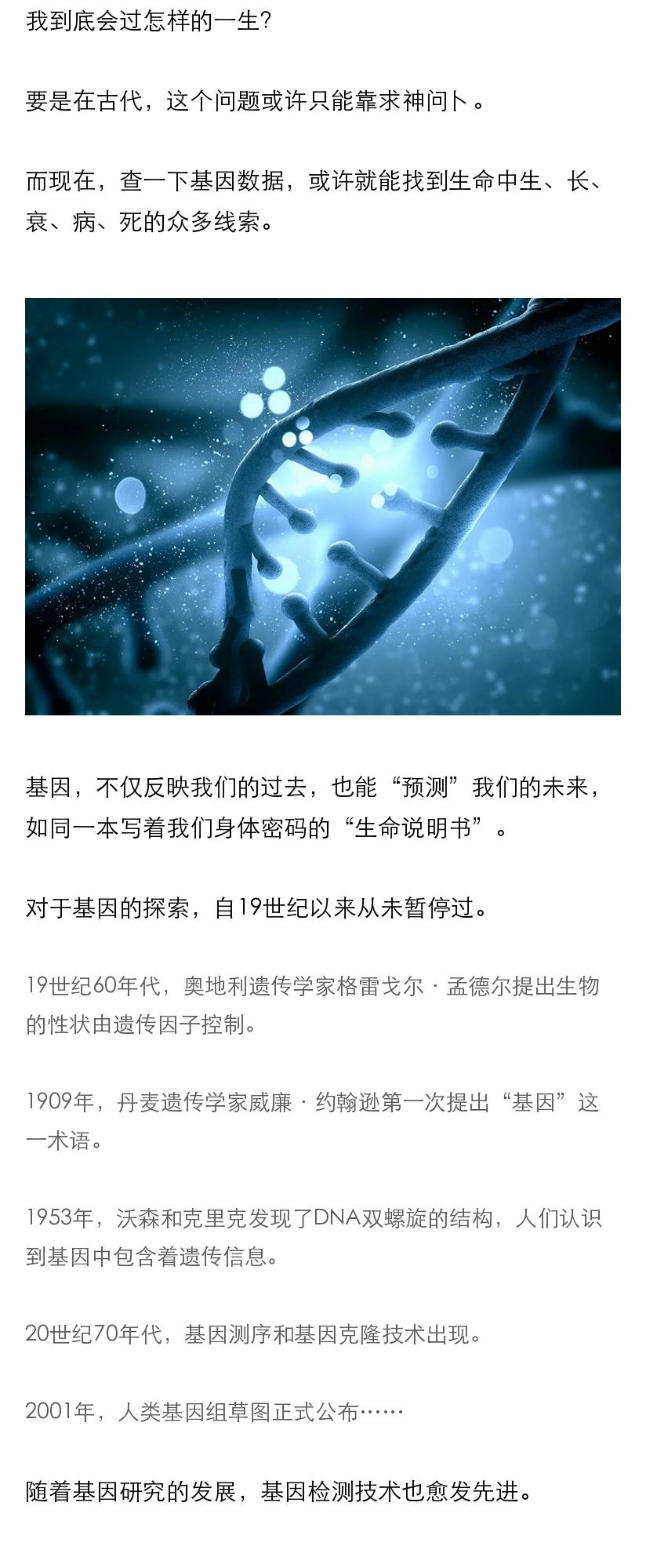 一条生活馆