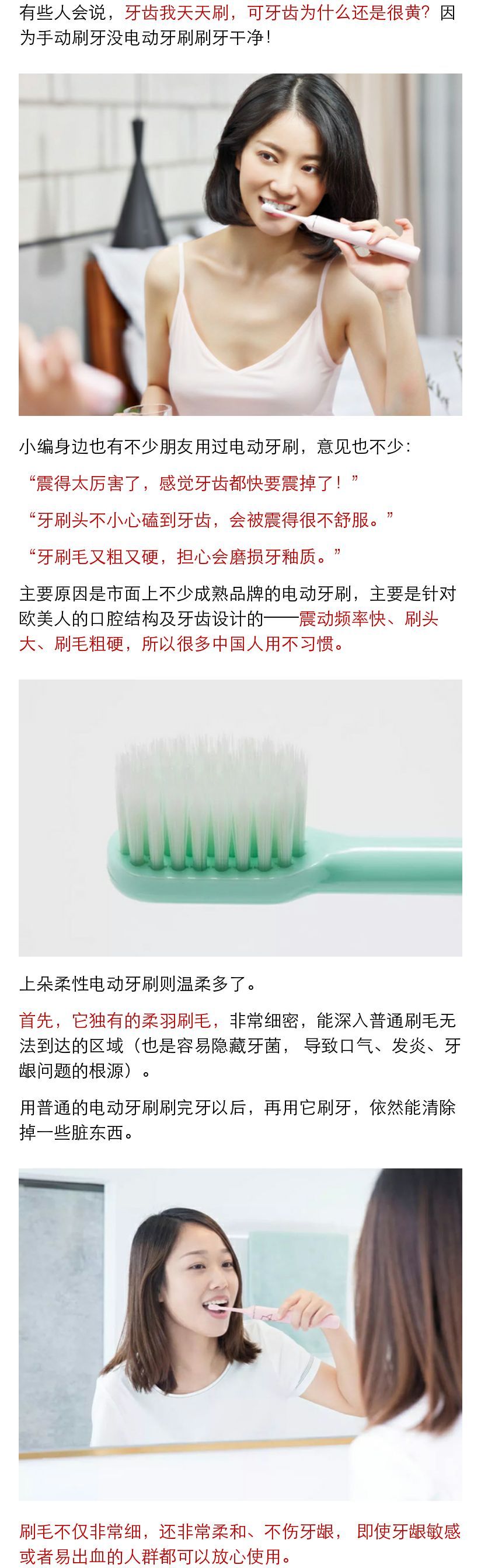 中国风的柔和电动牙刷 中国风的柔和电动牙刷